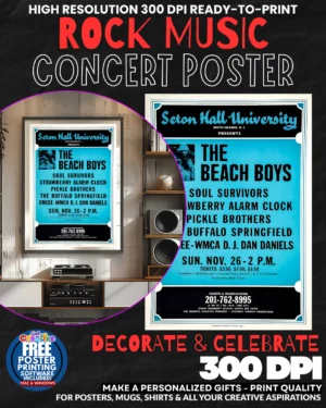 Beach Boys 1 Music Rock Concert Poster Wall Art