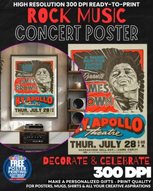 James Brown 1 Music Rock Concert Poster Wall Art