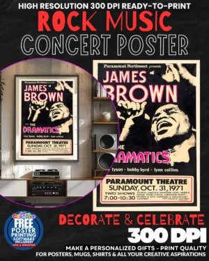 James Brown 2 Music Rock Concert Poster Wall Art
