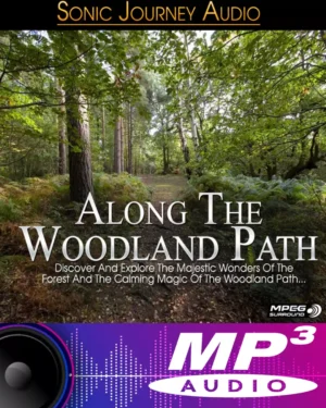 Along The Woodland Path