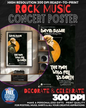 David Bowie 12 Music Rock Concert Poster Wall Art