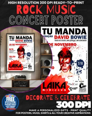 David Bowie 13 Music Rock Concert Poster Wall Art