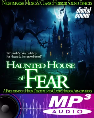 Haunted House Of Fear