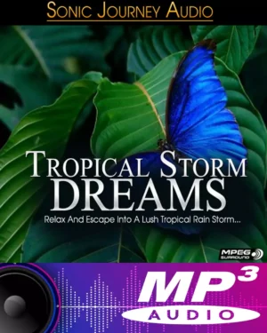 Tropical Storm Dreams